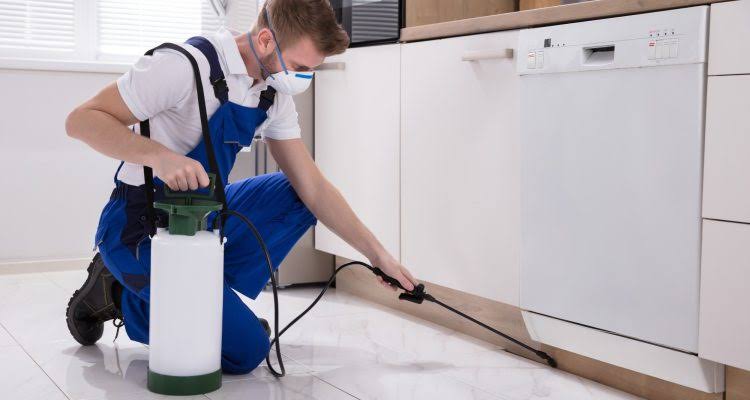 Modern Spray Equipment