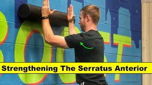Strengthening The Serratus Anterior Squat University Strengthen Muscle Health Muscle Fitness