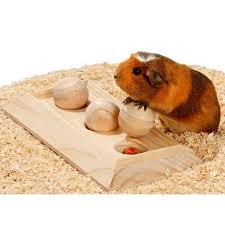 Rody Brain Train Board Jouet Educatif Pour Rongeur Karlie Wanimo Rongeur Jouet Pour Lapin Lapin