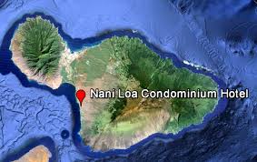 THE ENVIRONMENTAL NOTICE