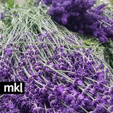 Limonium flower lavender is a fresh lavender variety that contains hundreds of small blooms that makes very good filler for floral arrangements and vase work. Dried Super Blue Lavender Bundles Are Available For Sale