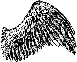 Black And White Angel Wings Clip Art Bird Wing Bird Wings Pretty Wings Clip Art Pictures
