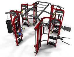 Synrgy360 Life Fitness Functional Training Gym No Equipment Workout Fit Life