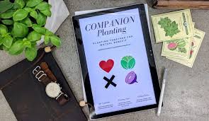 Companion Planting Charts Garden Gadget