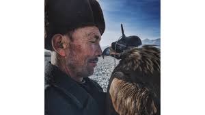 Las mejores fotos tomadas con un iPhone: los ganadores del premio Ippawards 