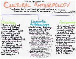 Msagerber Unit 1 Intro To Social Sciences And Anthropology