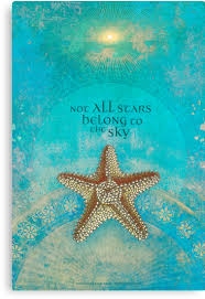 Not All Stars Belong To The Sky Canvas Print By Angiandsilas Ocean Quotes Beach Quotes I Love The Beach