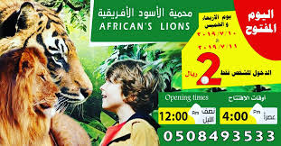 Dhahran Safari Dhahransafari Twitter