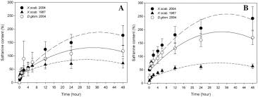 Image result for Xerophyta scabrida