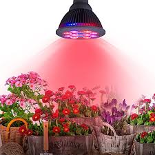 One method many growers use to accomplish this is to allow grow lights to stay on 24 hours a day. High Efficient 24w Led Grow Light Taotronics Plant Grow Lights E27 Growing Bulbs For Garden Gtin Ean Upc 6950639005775 Product Details Cosmos