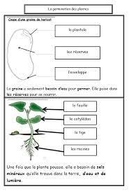 Resultat De Recherche D Images Pour Sequence Plantes Maternelle Sciences Ce2 Science La Germination