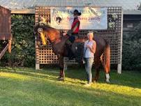 2026 PEC HORSE PARK DRESSAGE Schooling Series #4