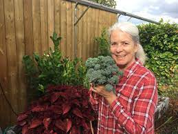 Green Thumbs Up For Urban Gardening In Calgary University District University District