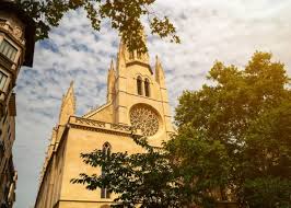 Image result for Eulalia polyneura