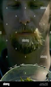 Paul pratt hi-res stock photography and images