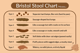 Image result for Bristol bowel movement chart