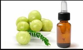 It can act as a natural conditioner and give you thicker and stronger hair. Amla Oil Is A Boon For Hair Know Its Countless Benefits Newstrack English 1