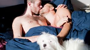 Sex: Was tun, wenn sich der Hund reindrängelt?