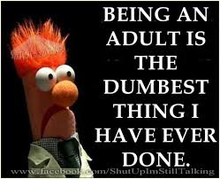 Beaker Funny P Funny Humor