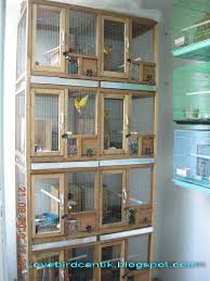 Sebelum anda memutuskan untuk ternak lovebird ada beberapa hal yang harus dipersiapkan. 70 Gambar Desain Kandang Lovebird Dari Kayu Terbaik