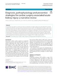 (PDF) Diagnosis, pathophysiology and preventive strategies for cardiac  surgery-associated acute kidney injury: a narrative review