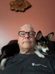 New corgi introduction with friends at home