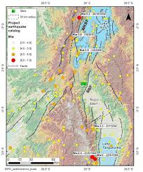 Image result for Ochna hackarsii