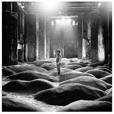 Pin On A Moment Caught In Time