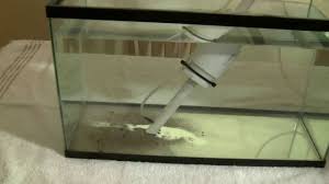 Diy Aquarium Air Lift Vacuum Diy Aquarium Aquarium Vacuums