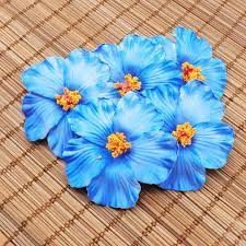 Wholesale flowers & supplies stocks a large assortment of realistic looking synthetic and silk flowers in various styles and colors. 2021 Hawaii Party Hibiscus Flowers Summer Party Diy Decorations Artificial Flowers Hula Girls Favor Hair Decoration Flower From Hometogether 22 73 Dhgate Com