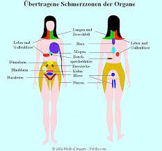 Bauchschmerzen Und Magenschmerzen Essen Kind Durchfall Stark