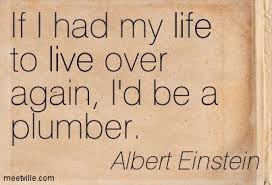If I Had My Life To Live Over Again Quotes If I Had My Life To Live Over Again I D Be A Plumber Albert Einstein Einstein Quotes Albert Einstein Einstein