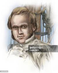 231 Lee Darwin Stock Photos, High-Res Pictures, and Images