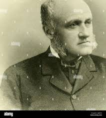 Merwin hi-res stock photography and images