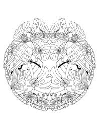 64 jungle book pictures to print and color. Give 18 Printable Jungle Mandalas Adult Coloring Pages By Coloringlife101 Fiverr