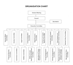 Organization Structure Klsccci
