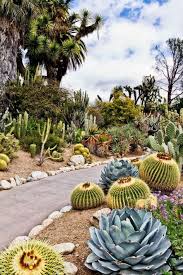 Check spelling or type a new query. 130 Cactus Land Ideas In 2021 Cactus Cacti And Succulents Planting Flowers