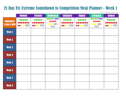 16 True To Life 21 Day Fix Containers List