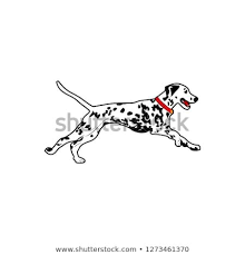 Black And White Spotted Dog Clipart Dalmatian Dog Run Vector Illustration In 2020 Dalmatian Dogs Dog Runs Animal Illustration