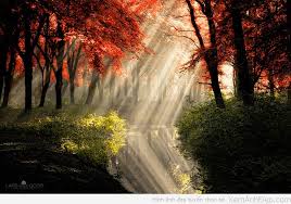 [Hình: images?q=tbn:ANd9GcTCtFJ6NxQdHitsIy0Rm6Y...g&usqp=CAU]
