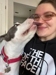 Maybe Jasiri was right. Her hyenas seems to be happy with the Lion Guard.  Wonder if we would be, too. Maybe we are in the wrong side." Your first  thoughts when Janja