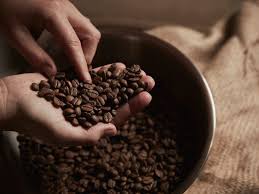 Coffee beans, like many other agricultural crops and foods (oats, corn, peanuts, rice, wheat, cocoa, grapes etc.) are susceptible to contamination with mold. Green Coffee Benefits Weight Loss And Side Effects