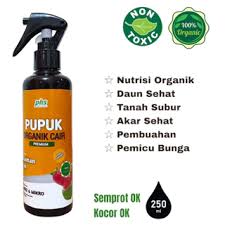 Jual bunga pansy Harga Terbaik & Termurah September 2025