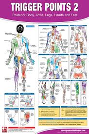 Trigger Point Therapy Chart Poster Set Acupressure Charts