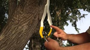 Using a tow strap to hang a tree swing: How To Hang A Swing On A Tree Youtube