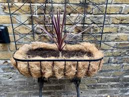 Although this was capable of being everything can be grown in teak baskets. Coir Liners The Pros And Cons Of Using Coconut Fibres In Planters Lady Greenwell