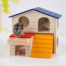 Pin On Hamster