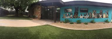 Pine ridge pet clinic is a full service veterinary clinic. Tour Tempe Lake Veterinary Clinic Pet Resort Tempe Lake Veterinary Clinic Pet Resort Tempe Az Arizona