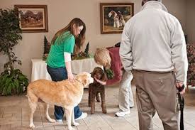 Maybe you would like to learn more about one of these? 9 Airports With Animal Boarding Facilities