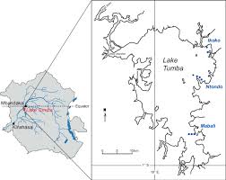 The congo river gets up to 90 inches of rainfall a year. Maps Showing Location Of Lake Tumba In The Congo River Drainage Area Download Scientific Diagram